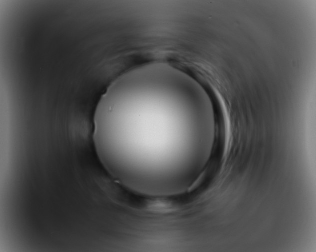 X0000092260380200709211123