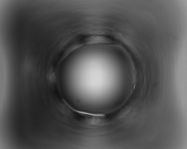 X0000092260384200709211123