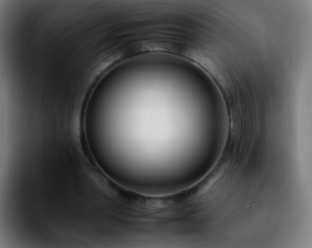 X0000092260390200709211123