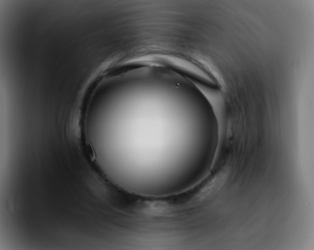 X0000092260395200709211123