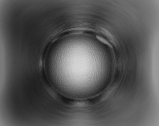 X0000092260405200709211123