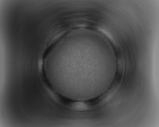 X0000092260406200709211123