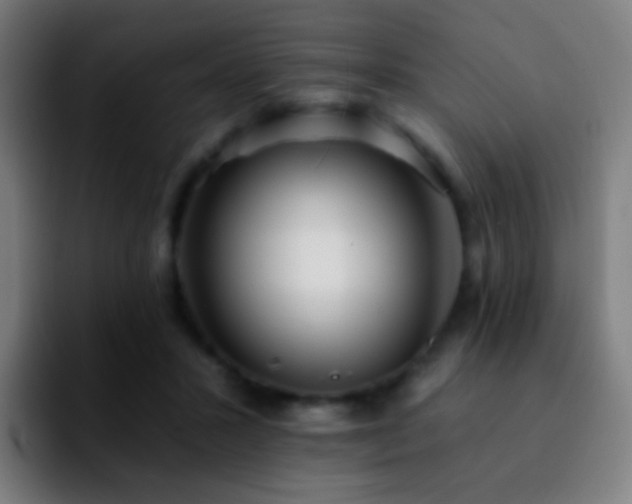 X0000092260407200709211123