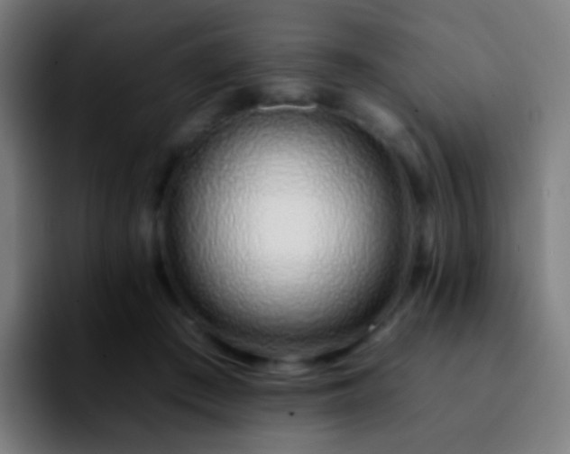 X0000092260409200709211123