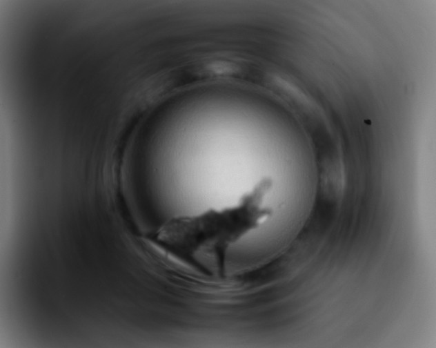 X0000092260410200709211123