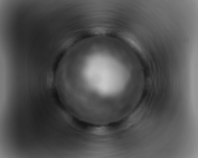 X0000092260411200709211123