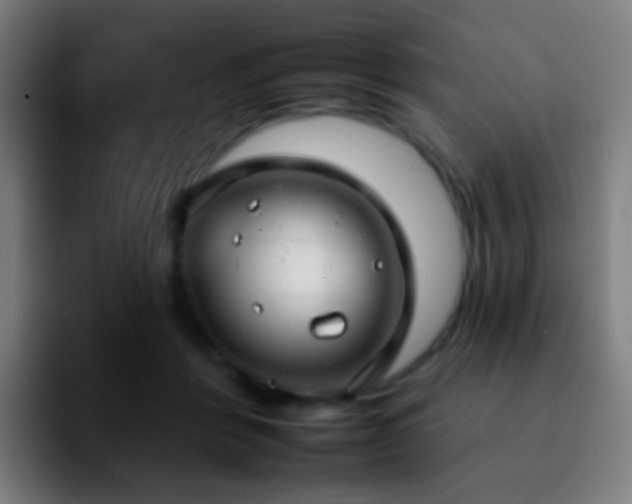 X0000092260412200709211123