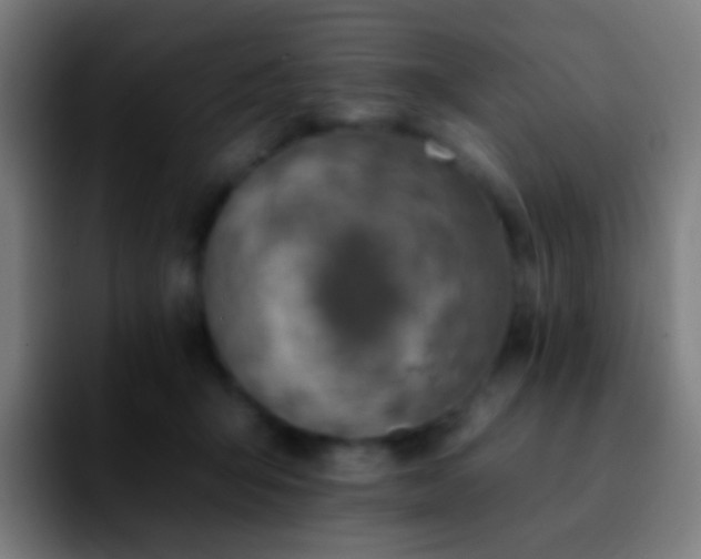 X0000092260415200709211123