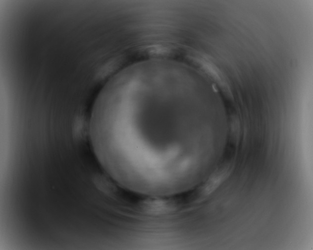 X0000092260419200709211123