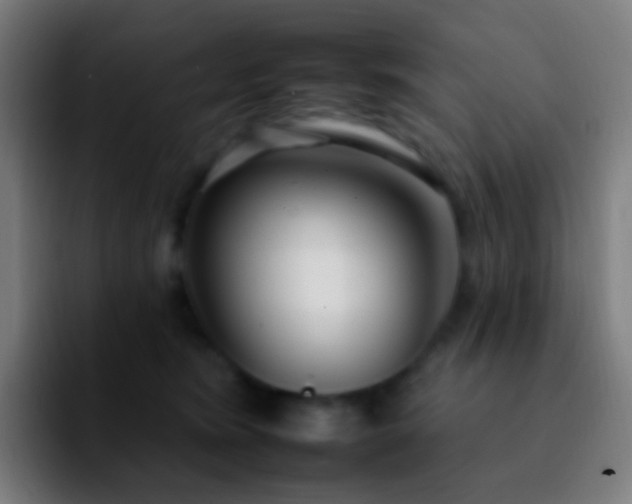 X0000092260420200709211122