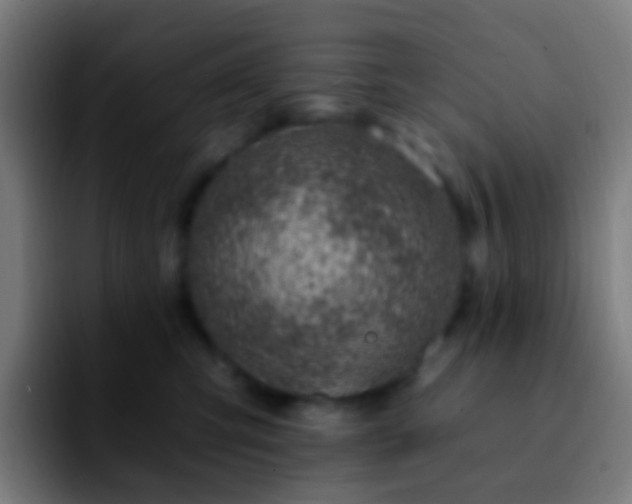 X0000092260423200709211122