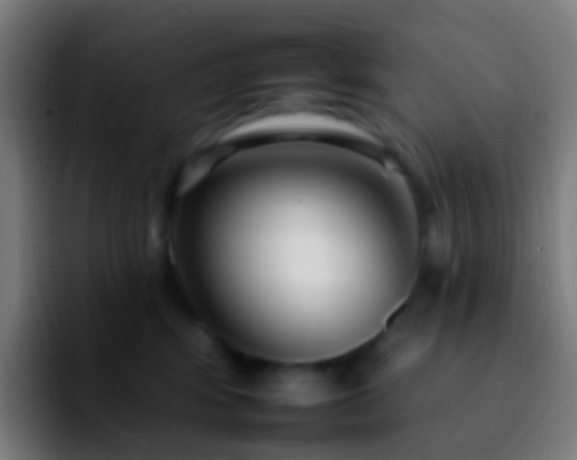 X0000092260424200709211122