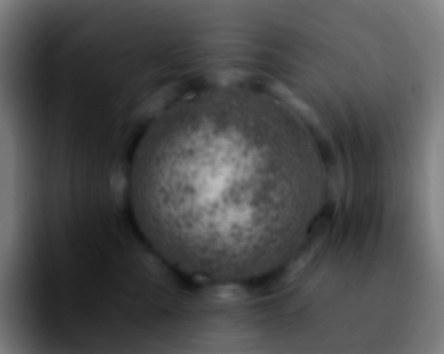 X0000092260427200709211122