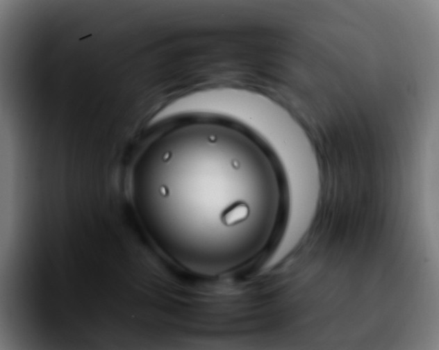 X0000092260428200709211122