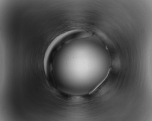 X0000092260429200709211122