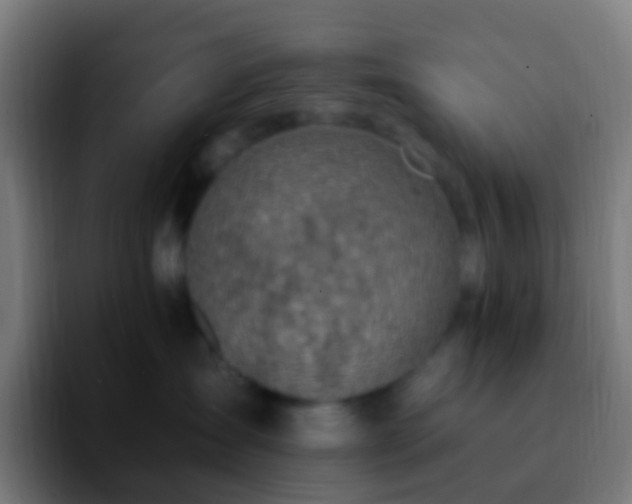 X0000092260431200709211122