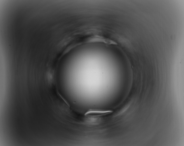 X0000092260432200709211122