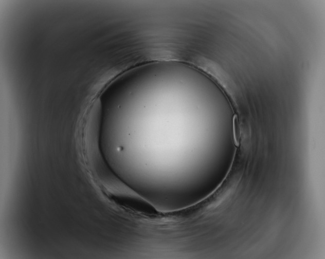 X0000092260433200709211122