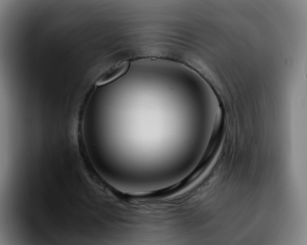 X0000092260434200709211122