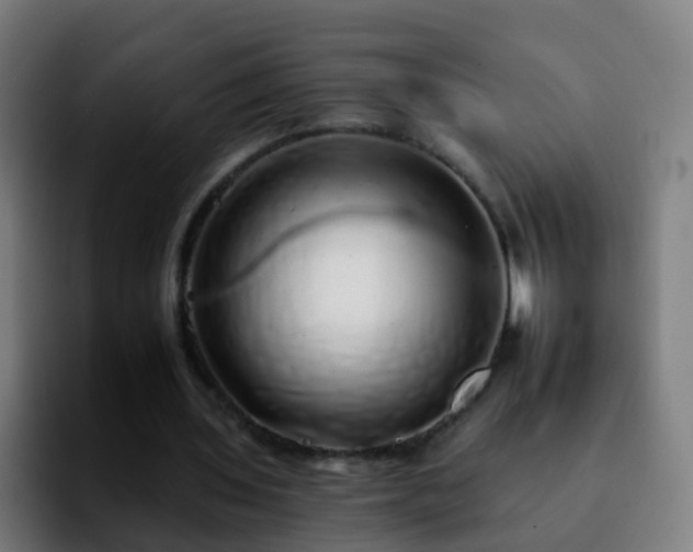 X0000092260435200709211122