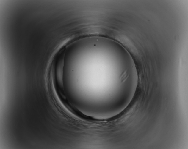 X0000092260436200709211122