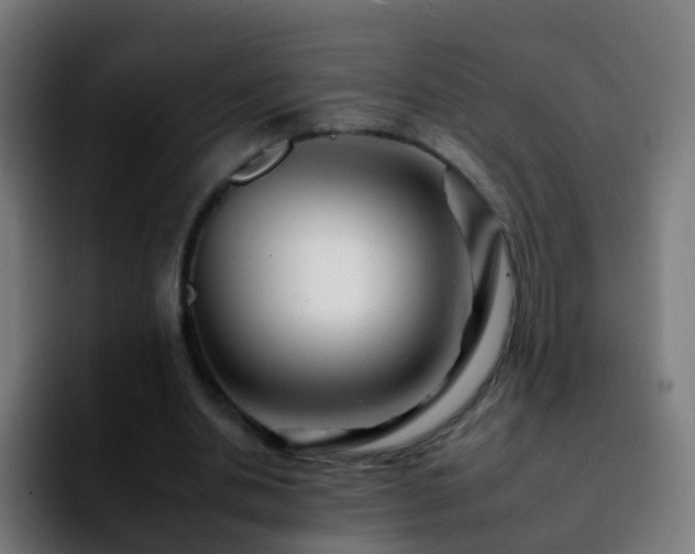 X0000092260438200709211122