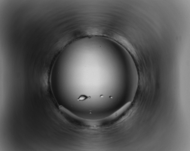 X0000092260441200709211122