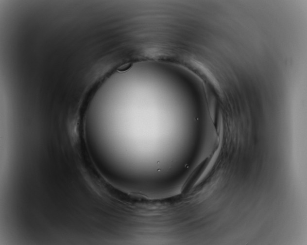 X0000092260443200709211122