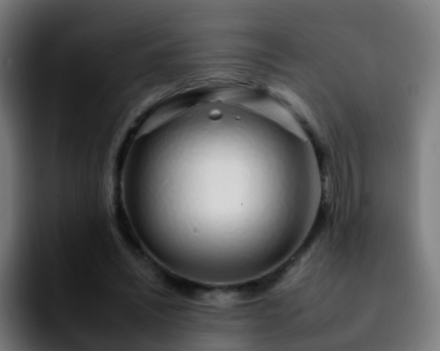 X0000092260444200709211122