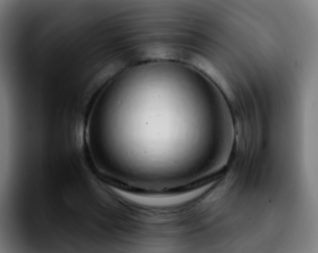 X0000092260445200709211122