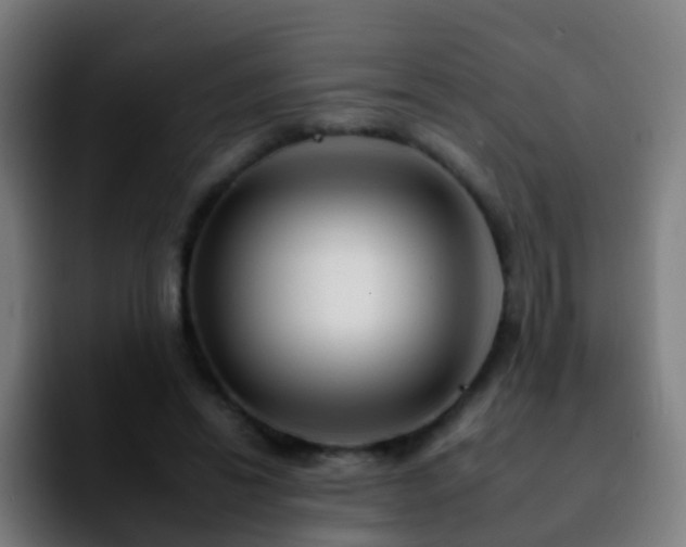 X0000092260446200709211122