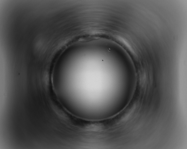 X0000092260447200709211122