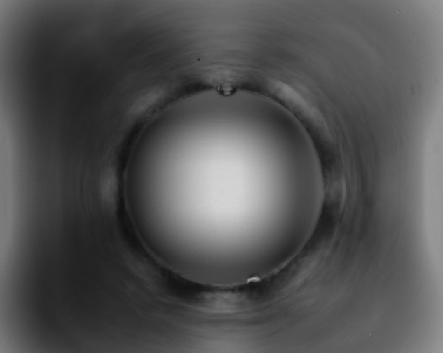 X0000092260448200709211122