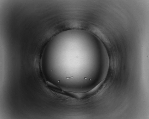 X0000092260449200709211122