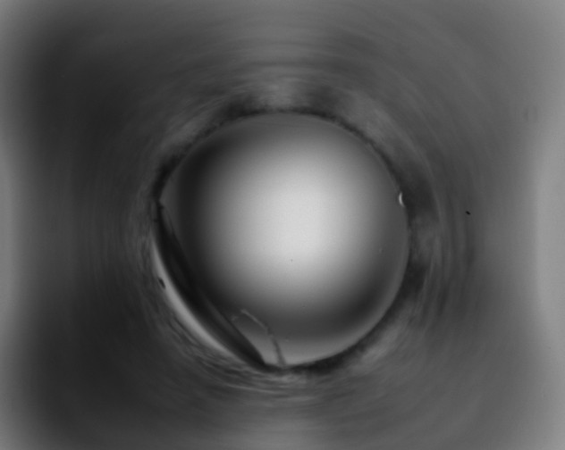 X0000092260450200709211122