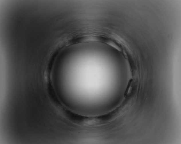 X0000092260452200709211122