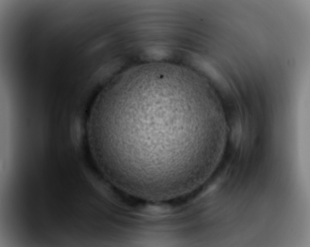 X0000092260455200709211122