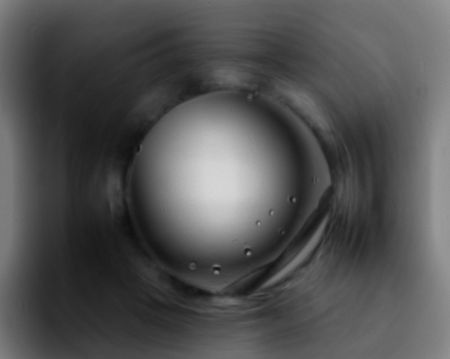 X0000092260457200709211122