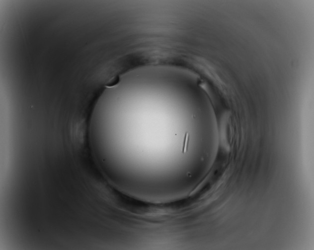 X0000092260458200709211122