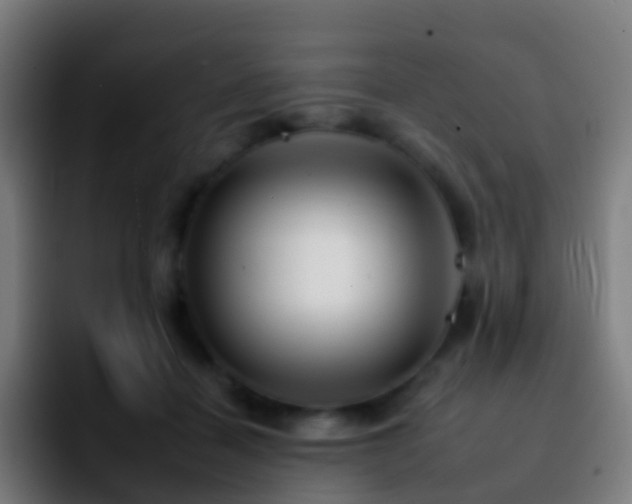 X0000092260460200709211122