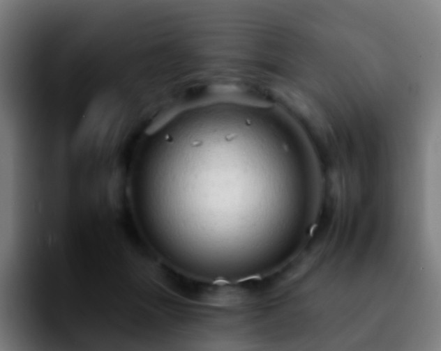 X0000092260463200709211122