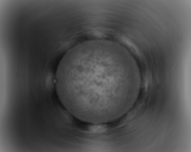 X0000092260465200709211122