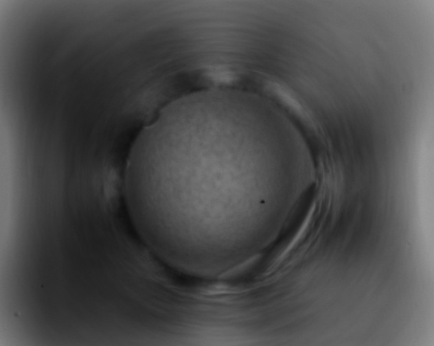 X0000092260467200709211122