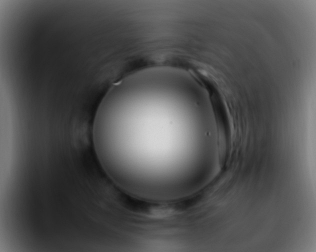 X0000092260470200709211122