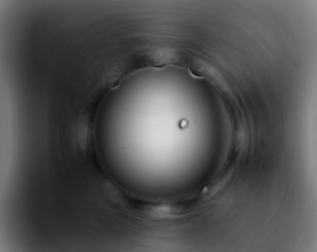 X0000092260473200709211122