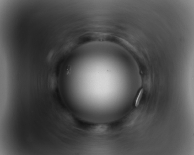 X0000092260474200709211122