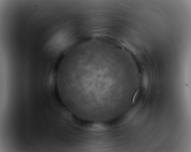 X0000092260475200709211122