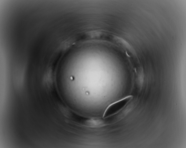 X0000092260477200709211122