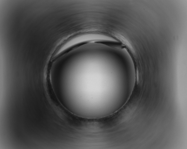 X0000092260483200709211122