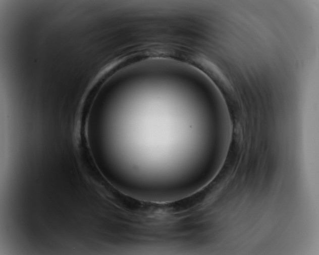 X0000092260484200709211122